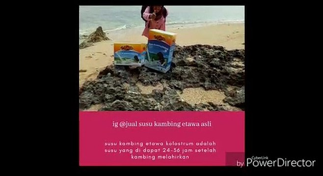 081290634215 (tsel) manfaat susu kambing etawa, jual susu kambing etawa bubuk,