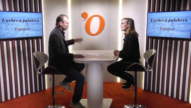 Afrique: Marion Lenne (députée LREM) plaide pour plus de transparence dans l’aide publique au développement