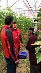 Kanal D Haber'in tanzim satış yalanı ortaya çıktı 1