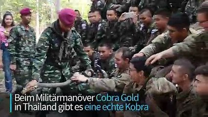 Soldaten trinken Kobra-Blut