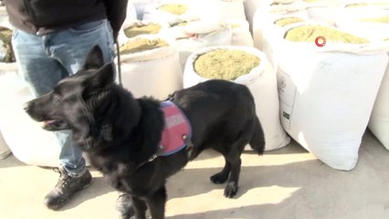Diyarbakır’ın Lice İlçesi’nde dün yapılan operasyonlarda 5 ton uyuşturucu ele geçirildi
