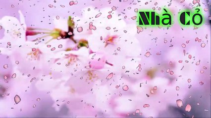 Audio đam mỹ [Chương 5-8] Nhiếp Chính Vương.