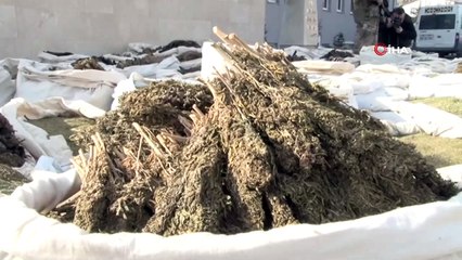 Diyarbakır’ın Lice İlçesi’nde dün yapılan operasyonlarda 5 ton uyuşturucu ele geçirildi