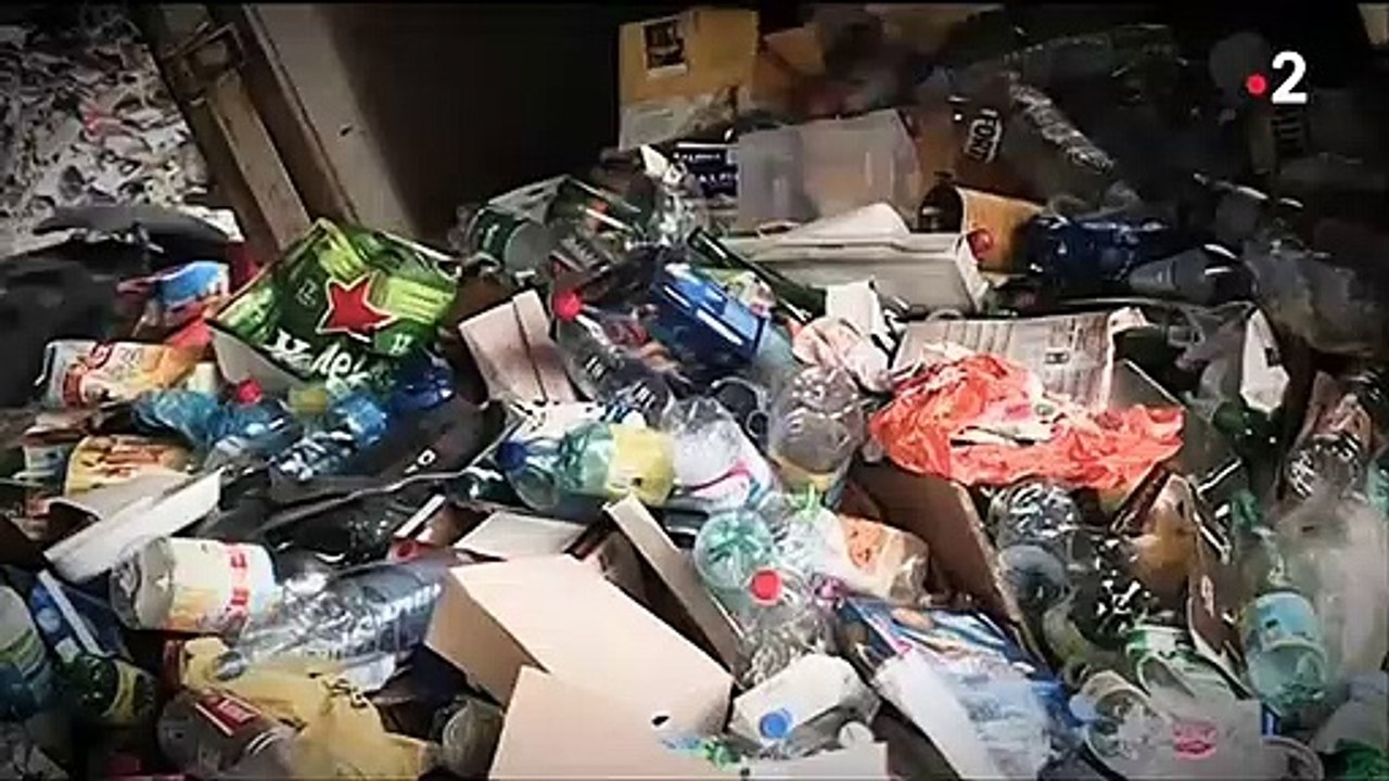 Recycler vos bouteilles plastiques peut vous rapporter de l'argent ! Mais combien ? Regardez