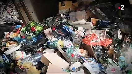 Recycler vos bouteilles plastiques peut vous rapporter de l'argent ! Mais combien ? Regardez