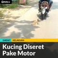 Kucing Diseret Pake Motor