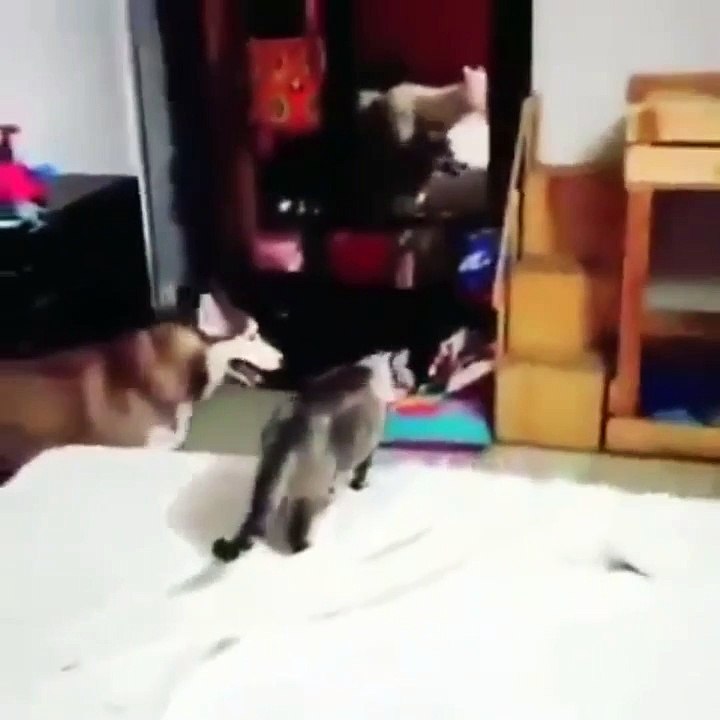 Ok, It's Bedtime