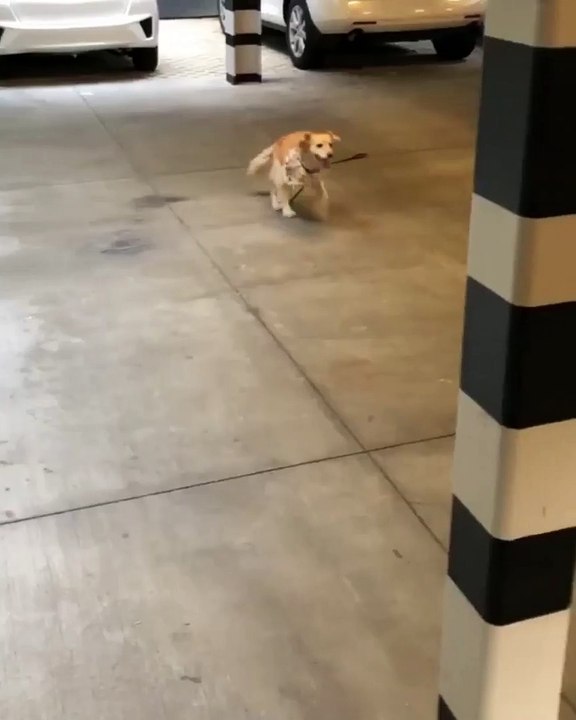 she can bum hop real fast to see her uncle after a long time