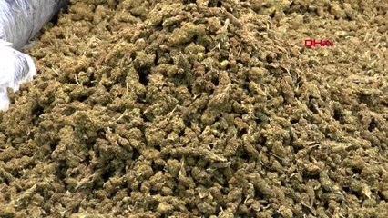 İstanbul'daki Büyük Operasyonda Ele Geçirilen Uyuşturucu Basına Gösterildi