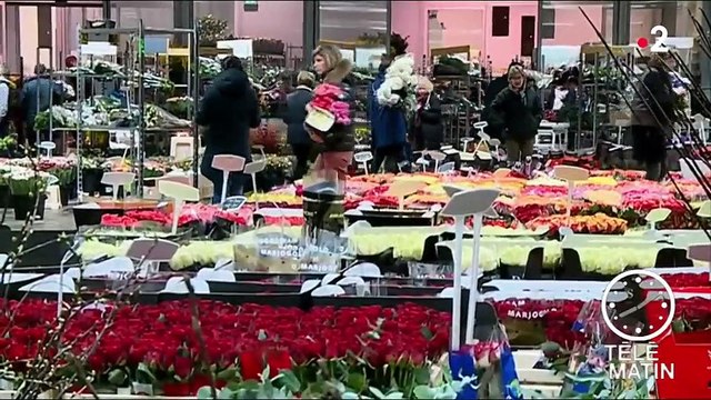Toulouse : les fleuristes font leur stock de roses rouges pour la Saint-Valentin