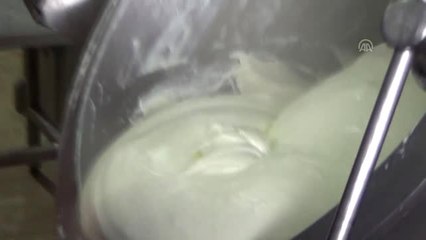 Devlet Desteğiyle Günde 10 Ton Üretim Yapıyor