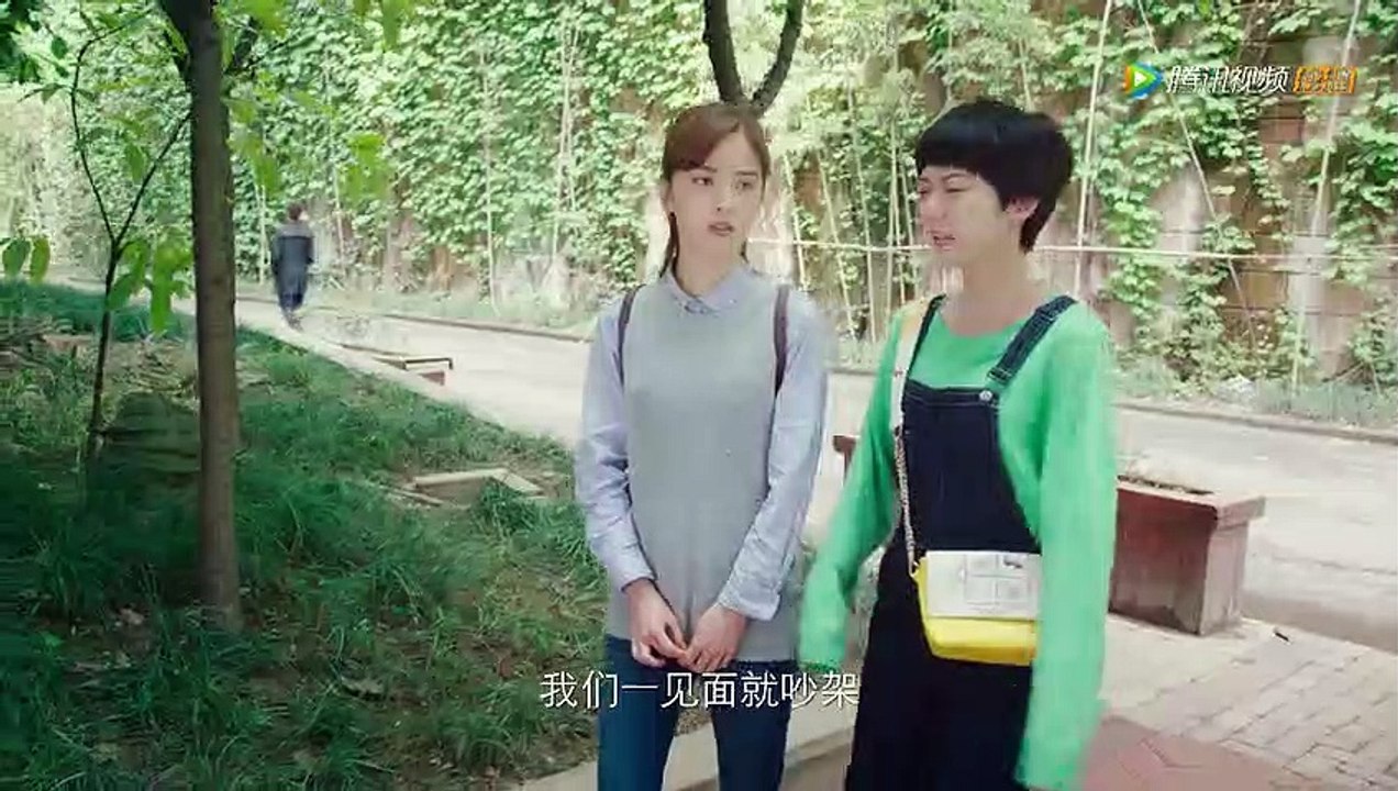 20-八分钟的温暖-20集 高清