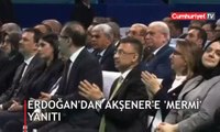 Erdoğan'dan Akşener'e 'mermi' yanıtı