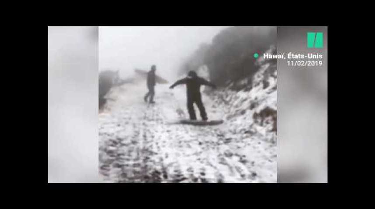 À Hawaï, ce parc national a été recouvert de neige pour la première fois