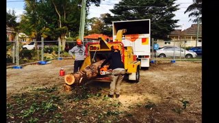 Tree Services Sutherland Shire