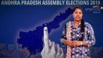 AP Assembly Election 2019 : Mantralayam Assembly Constituency,Sitting MP, MP Performance Report