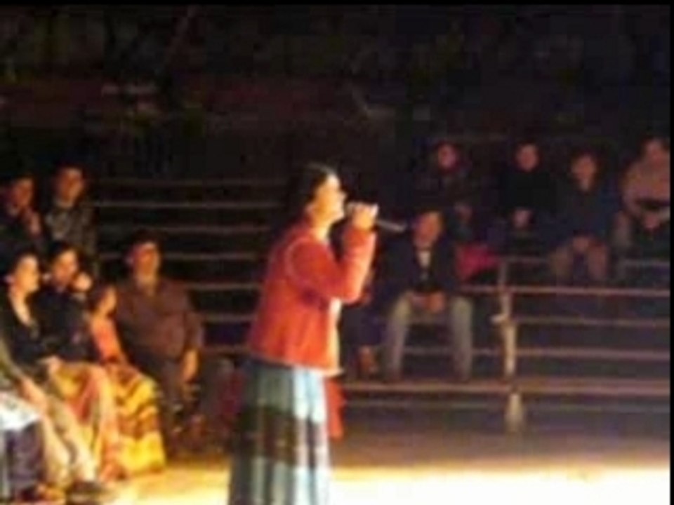 Cirque Tsigane Romanès