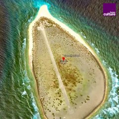 Île Tromelin : survivre sur une île déserte hostile