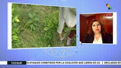 Unzueta: Alianzas antidrogas con EEUU han generado violencia en México