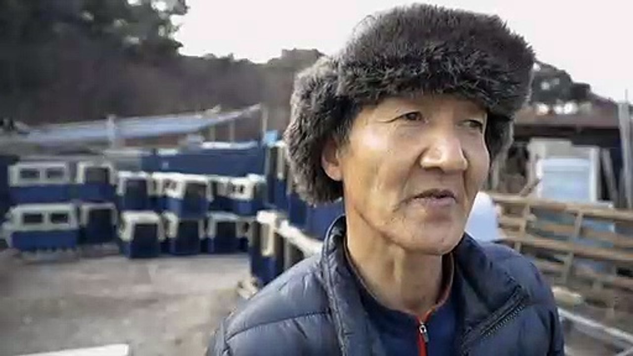 Hunde gerettet, Hundefarmbesitzer ratlos