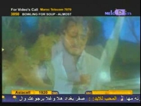 Tamer hosni → nour einy