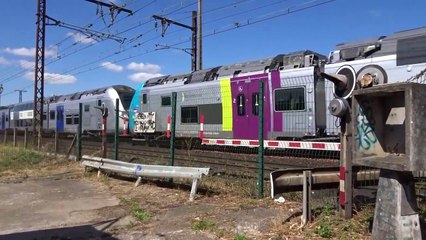 Un passage à niveau mort-vivant (Orléans)