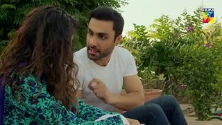 Tajdeed e Wafa Epi 22 HUM TV Drama 13 February 2019