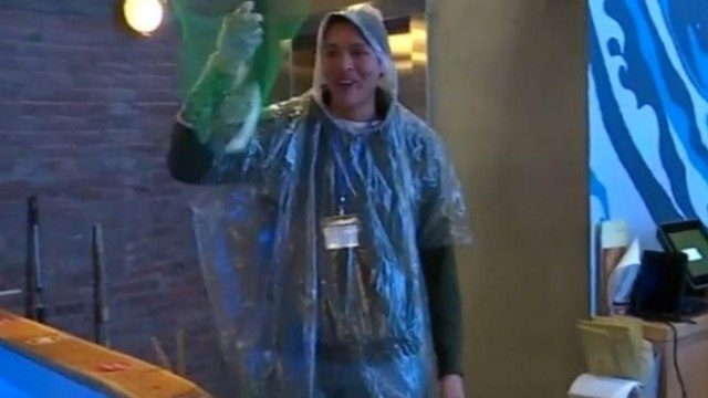 New York restaurant lets diners fish for their own supper