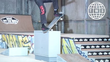 Vans Elijah Berle Pro Wear Test