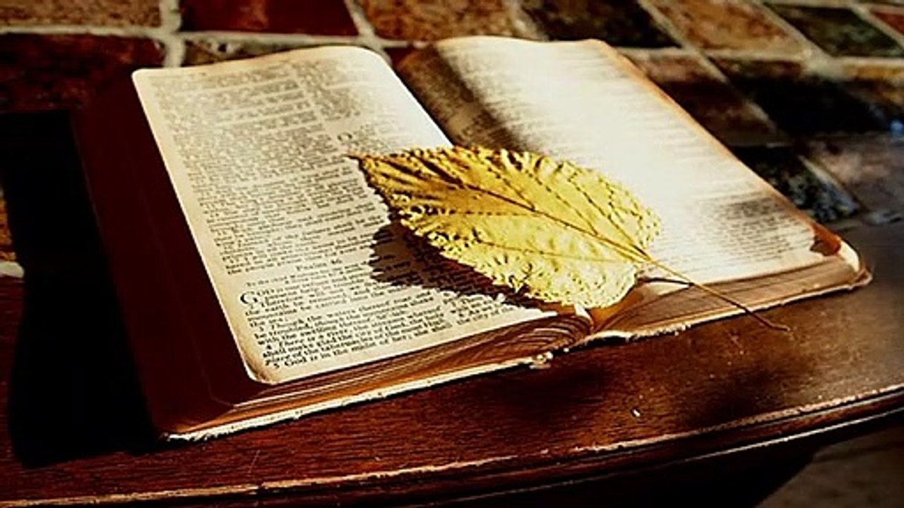 SALMOS 17 (NOVA TRADUÇÃO NA LINGUAGEM DE HOJE)