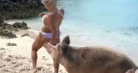 Ünlü Modelin Kalçasını Domuz Isırdı