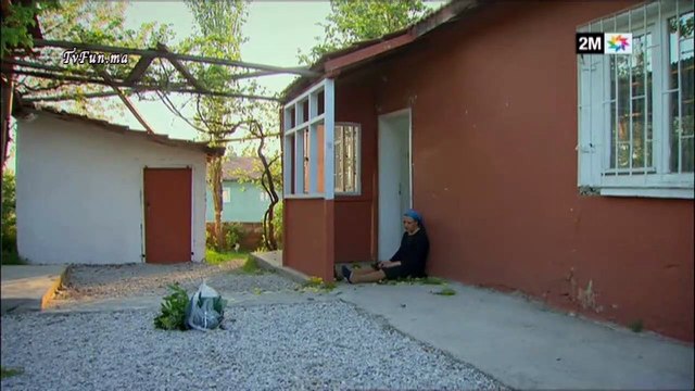 samhini 1609-tvfun_01