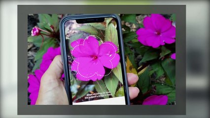 App of the Week - PictureThis with Francie Black