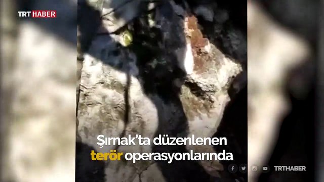 Şırnak kırsalında terör operasyonu