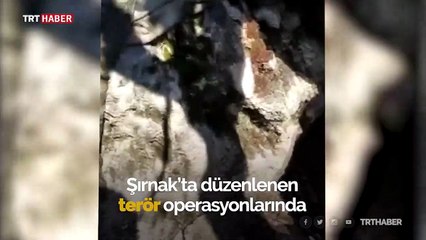 Şırnak kırsalında terör operasyonu