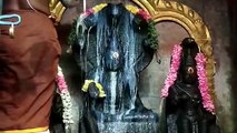 திருநாகேஸ்வரம் அருள்மிகு நாகநாத சுவாமி திருக்கோவில்