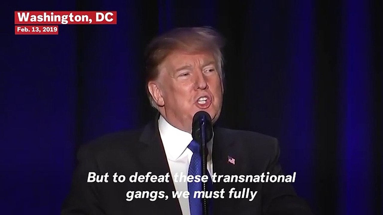 Trump Compares Border Wall To Mt. Everest: 'People Aren't Going Through Very Easy'