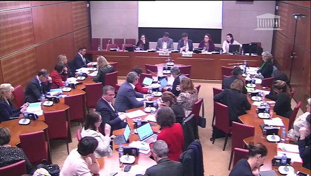 Commission des affaires culturelles : Institution d’un fonds de soutien à la création artistique ; Création d’un permis de conduire public gratuit - Mercredi 13 février 2019