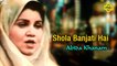 Abida Khanam - Shola Banjati Hai - Pakistani Regional Song