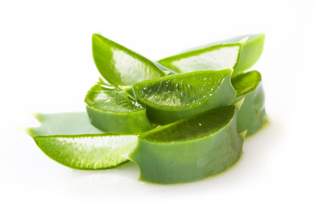 Wissenswertes über Aloe Vera