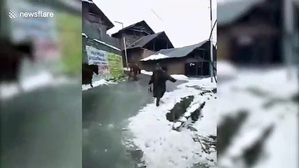 Donkeys slip on icy road in Kashmir town following snow storm