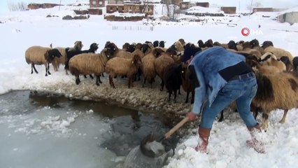 Buzları kırarak hayvanlarının su ihtiyacını karşılıyorlar