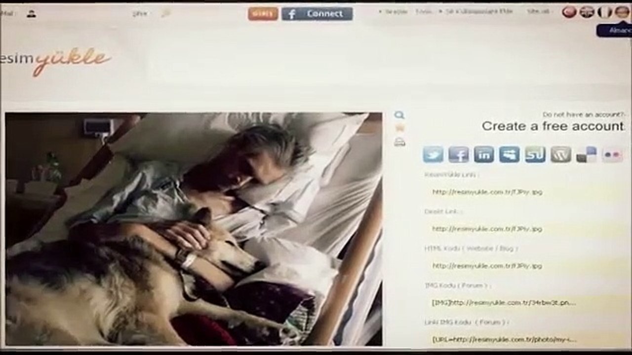 Kolay ve Hızlı Resim Yükleme Sitesi - resim yükle - resim paylaş - hızlı resim - resim upload