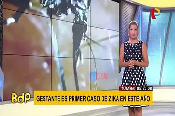 Tumbes: gestante es el primer caso confirmado de Zika este año