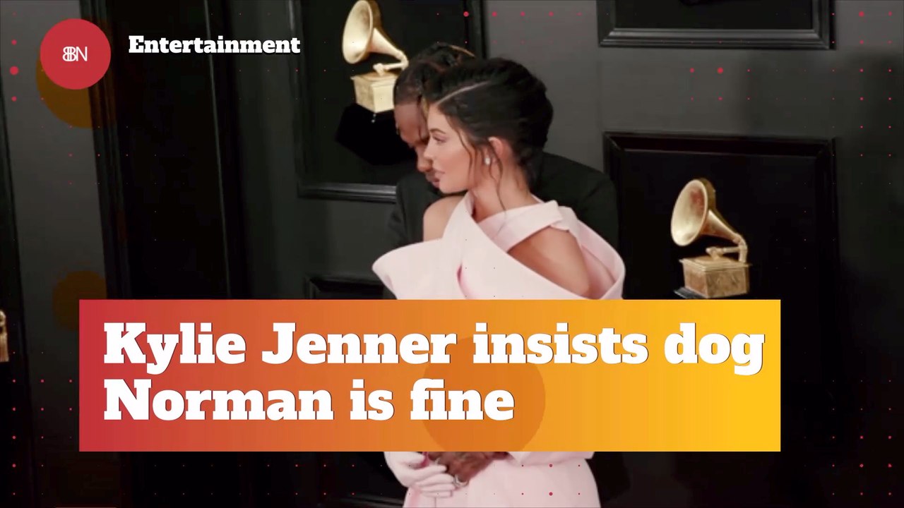 Kylie Jenner Ends Rumors About Norman