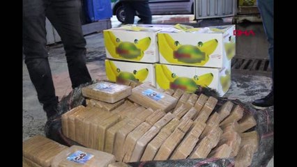 İstanbul- Konteynerden Muz Yerine Kokain Çıktı