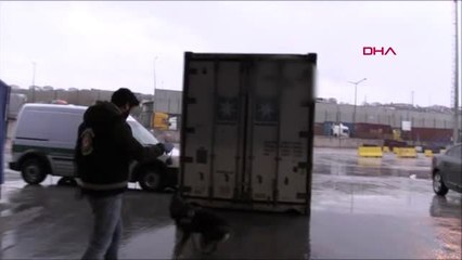 Muz Yüklü Konteynerden 79 Kilo Kokain Çıktı