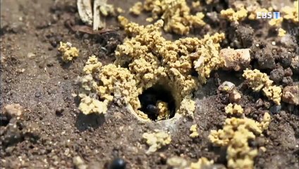 순천출장안마 -100%미인Ø7Øs4110s6674【YOY87카톡】순천전지역출장마사지샵순천출장go안마ok순천출장마사지황형ゼソゾ미인아가씨20대매니저