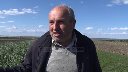 Fermerët nuk dinë çfarë të mbjellin - Top Channel Albania - News - Lajme