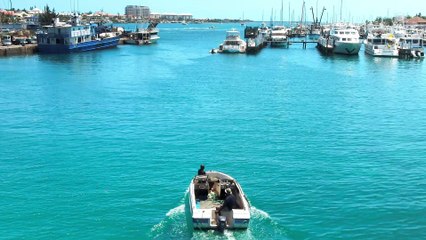 Jamais sans ma conque - Nassau Paradise Island - Bahamazing Experiences 2019